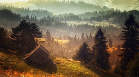 Одинокий домик в лесу