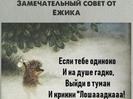 Ежик в тумане франческа ярбусова