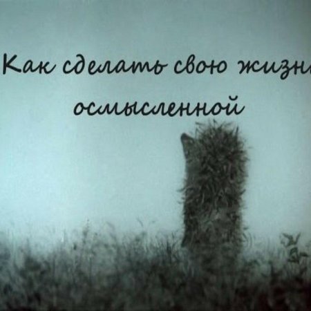 Ежик в тумане мультфильм 1975