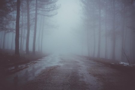 Дорога в туман