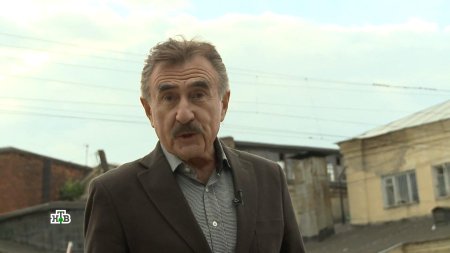 Следствие вели леонид каневский