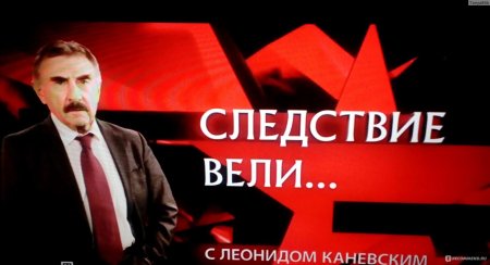 Следствие вели леонид каневский