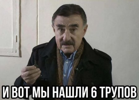 Следствие вели леонид каневский