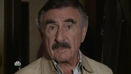 Следствие вели леонид каневский