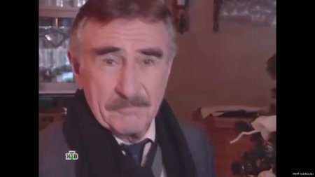 Следствие вели леонид каневский