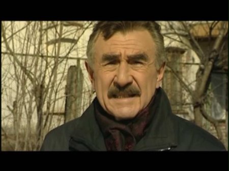 Следствие вели леонид каневский