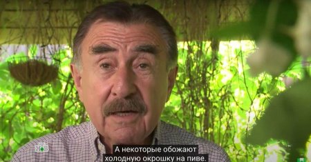 Следствие вели леонид каневский