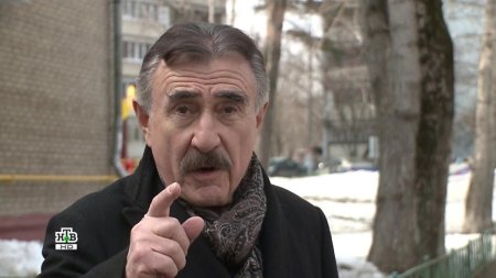 Следствие вели леонид каневский