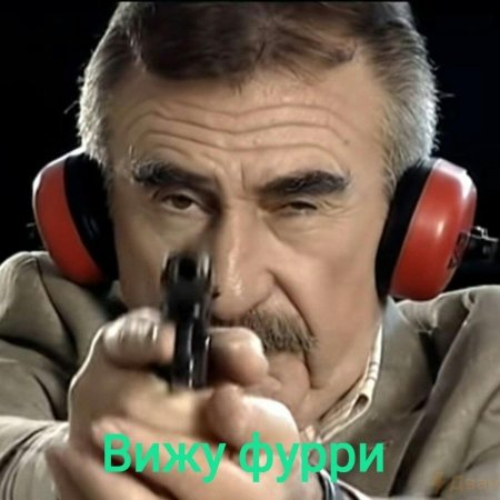 Следствие вели леонид каневский