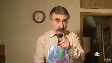 Следствие вели леонид каневский