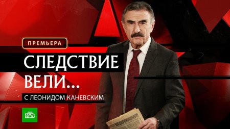 Следствие вели леонид каневский