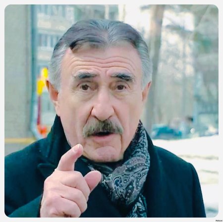 Следствие вели леонид каневский