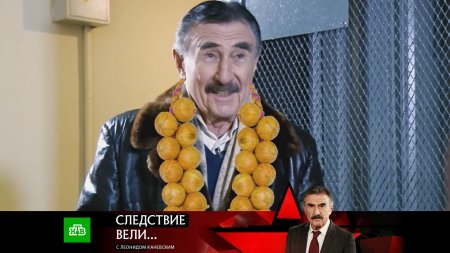Следствие вели леонид каневский