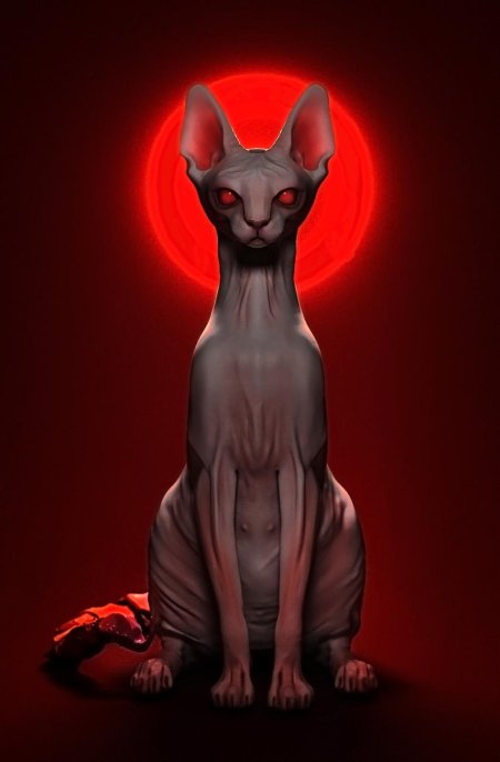 Сфинкс кошка альфа центавра