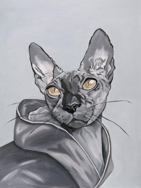 Кошка сфинкс