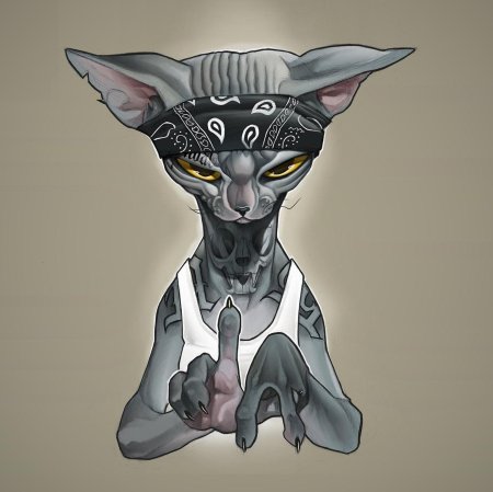 Кот сфинкс