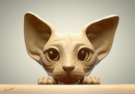Кошка сфинкс