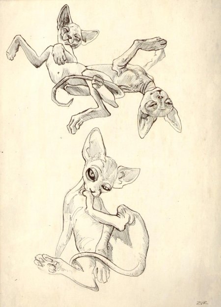 Сфинкс рисунок