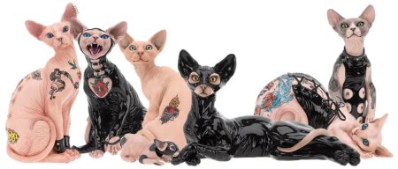 Кот сфинкс