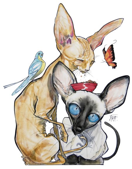 Кот сфинкс рисунок