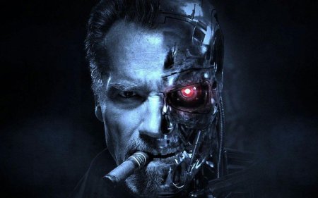Т 800 терминатор шварценеггер