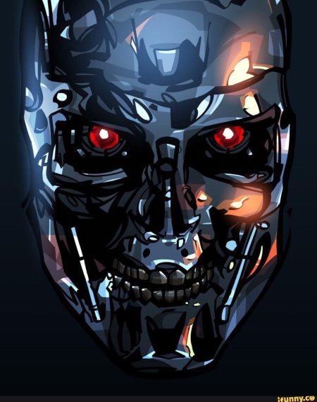 Terminator t 800