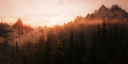 The elder scrolls 5: skyrim лес