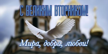 Белая голубь