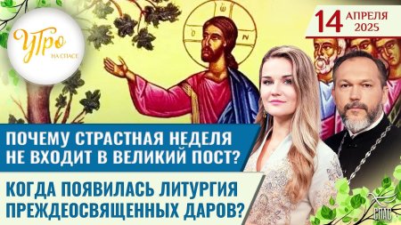 Телеканал спас