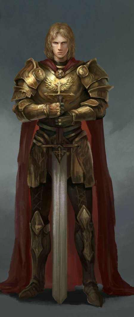 Лорд паладин арт
