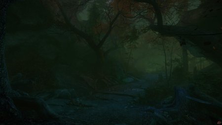 The cursed forest игра