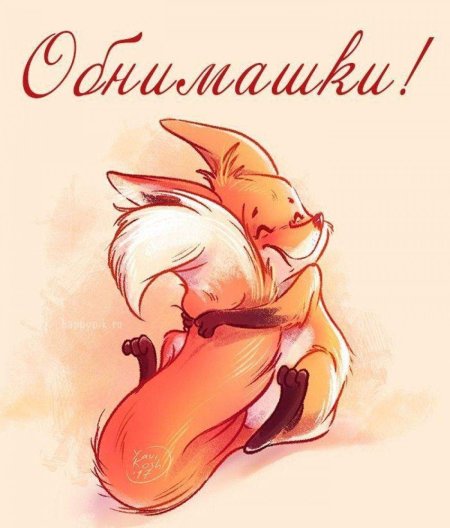 Рисунки лисичек