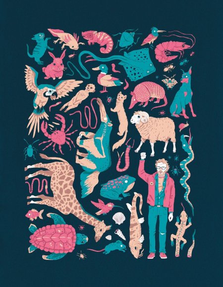 Behance иллюстрации