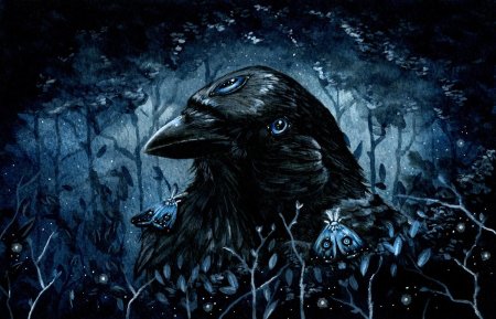 Raven в фэнтези