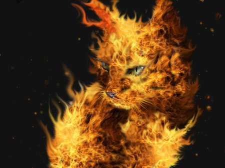 Огненная кошка