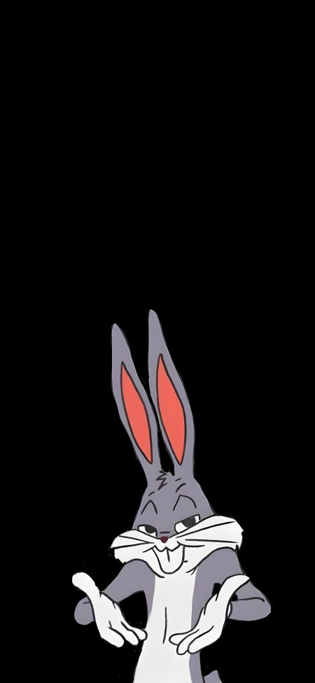 Bugs bunny looney tunes