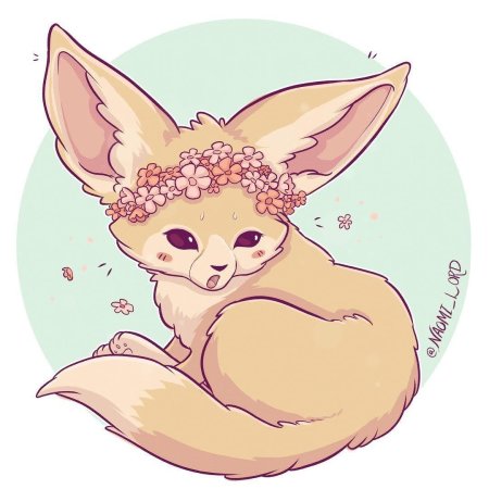 Милые лисички наоми лорд