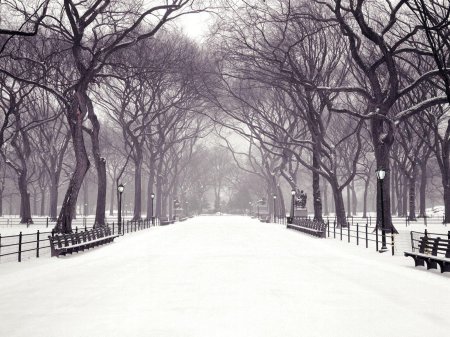Central park winter