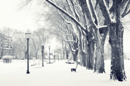 Зимние городские пейзажи