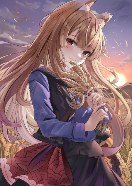 Волчица и пряности ookami to koushinryou