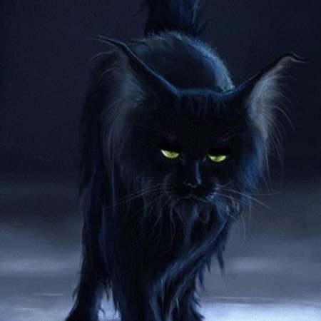 Фамильяр черный кот