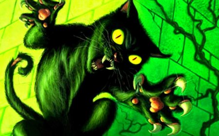 Чëрная кошка