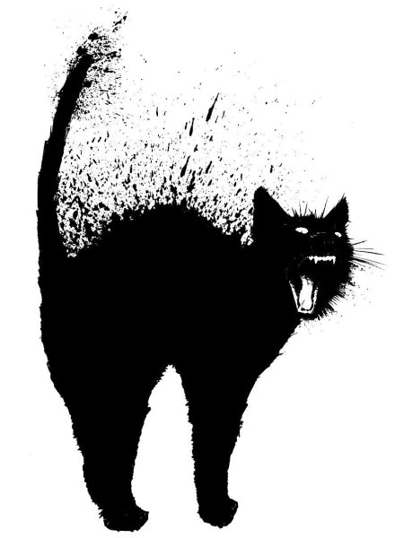 Кот чëрный