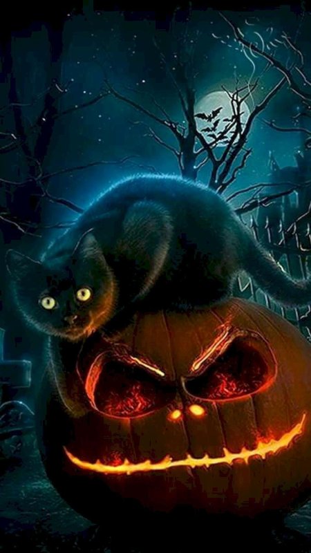 Хэллоуин кот