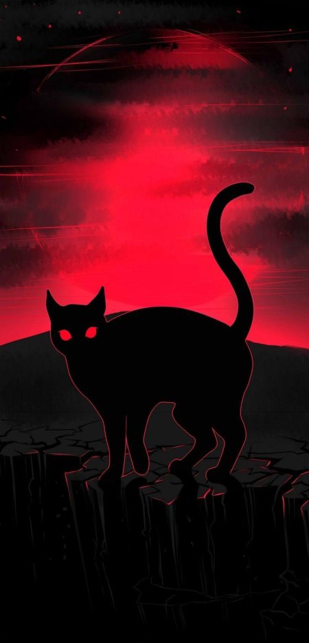 Кошка во тьме