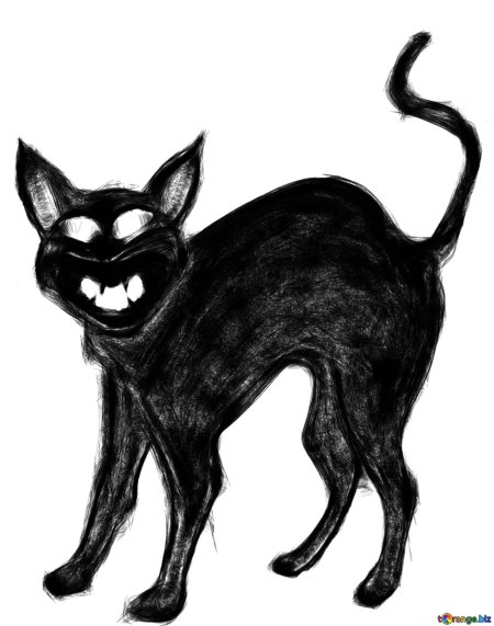 Черный кот страшный