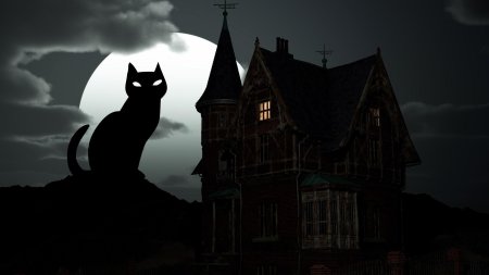 Страшный черный кот