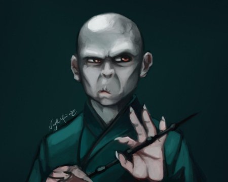Волан де морт гарри поттер