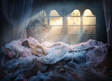 Спящая красавица (sleeping beauty)1995