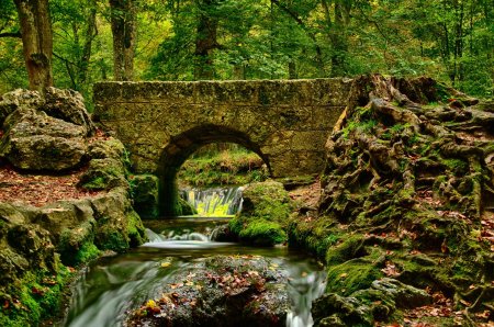 Лесной парк «толлимор», северная ирландия (tollymore)